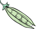 Big Mountain Foods