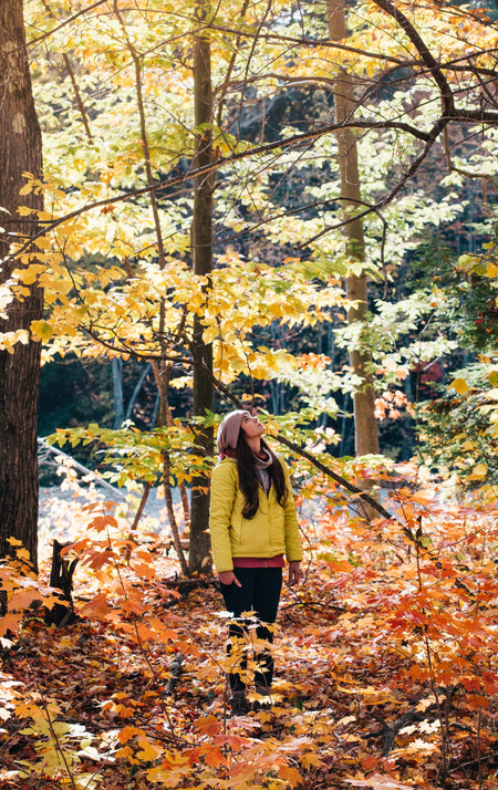 Fall done right: A quick seasonal wellness guide
